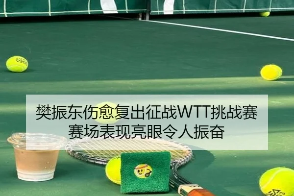 樊振东伤愈复出征战WTT挑战赛 赛场表现亮眼令人振奋
